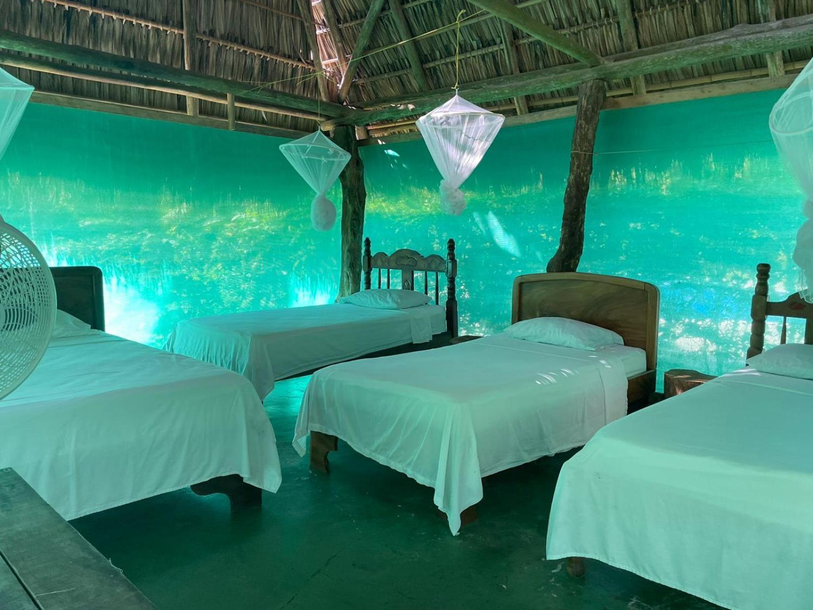 فندق Mal Pais Surf Camp Playa Santa Teresa  المظهر الخارجي الصورة