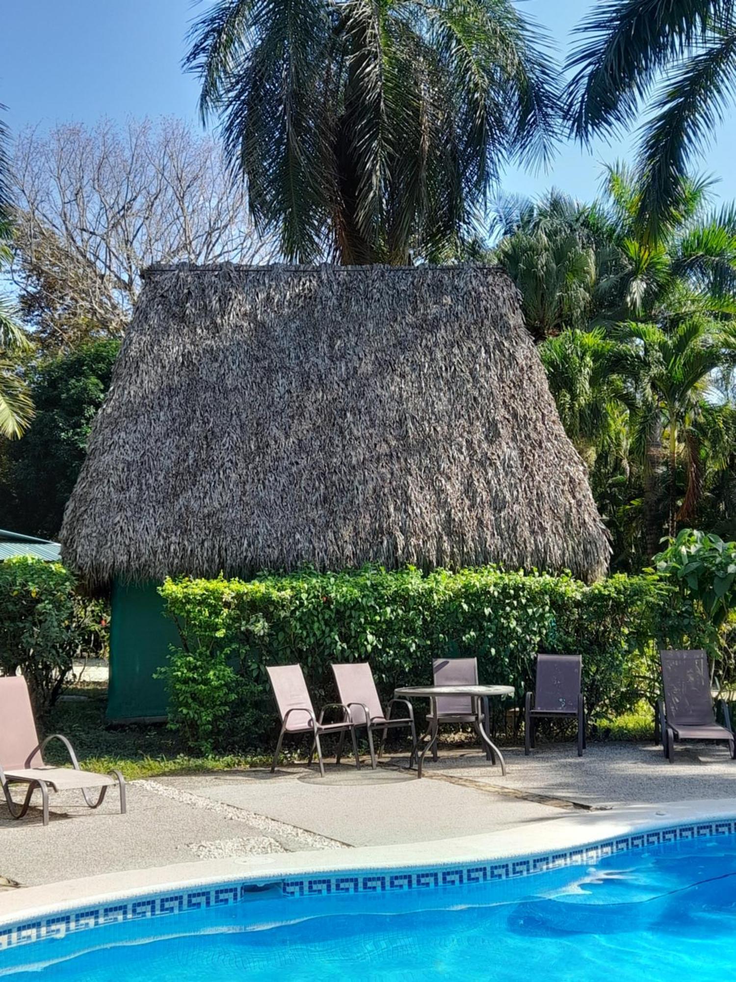 فندق Mal Pais Surf Camp Playa Santa Teresa  المظهر الخارجي الصورة