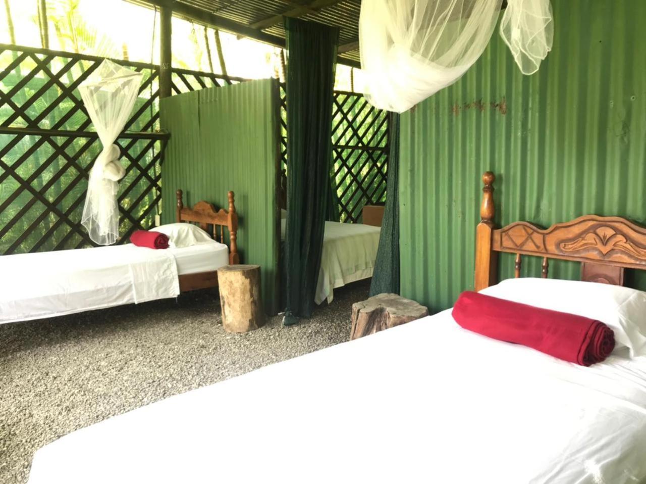 فندق Mal Pais Surf Camp Playa Santa Teresa  المظهر الخارجي الصورة
