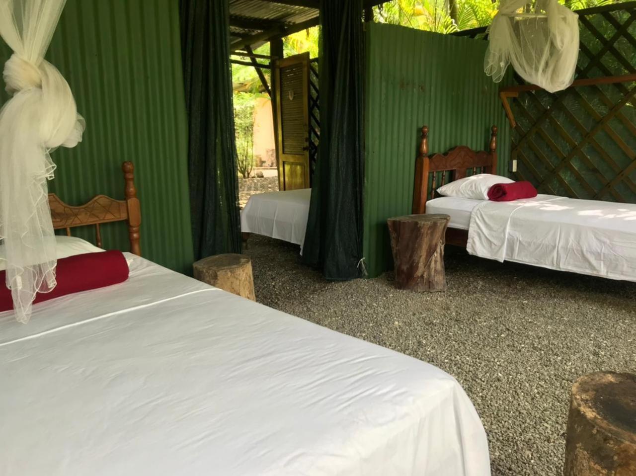 فندق Mal Pais Surf Camp Playa Santa Teresa  المظهر الخارجي الصورة