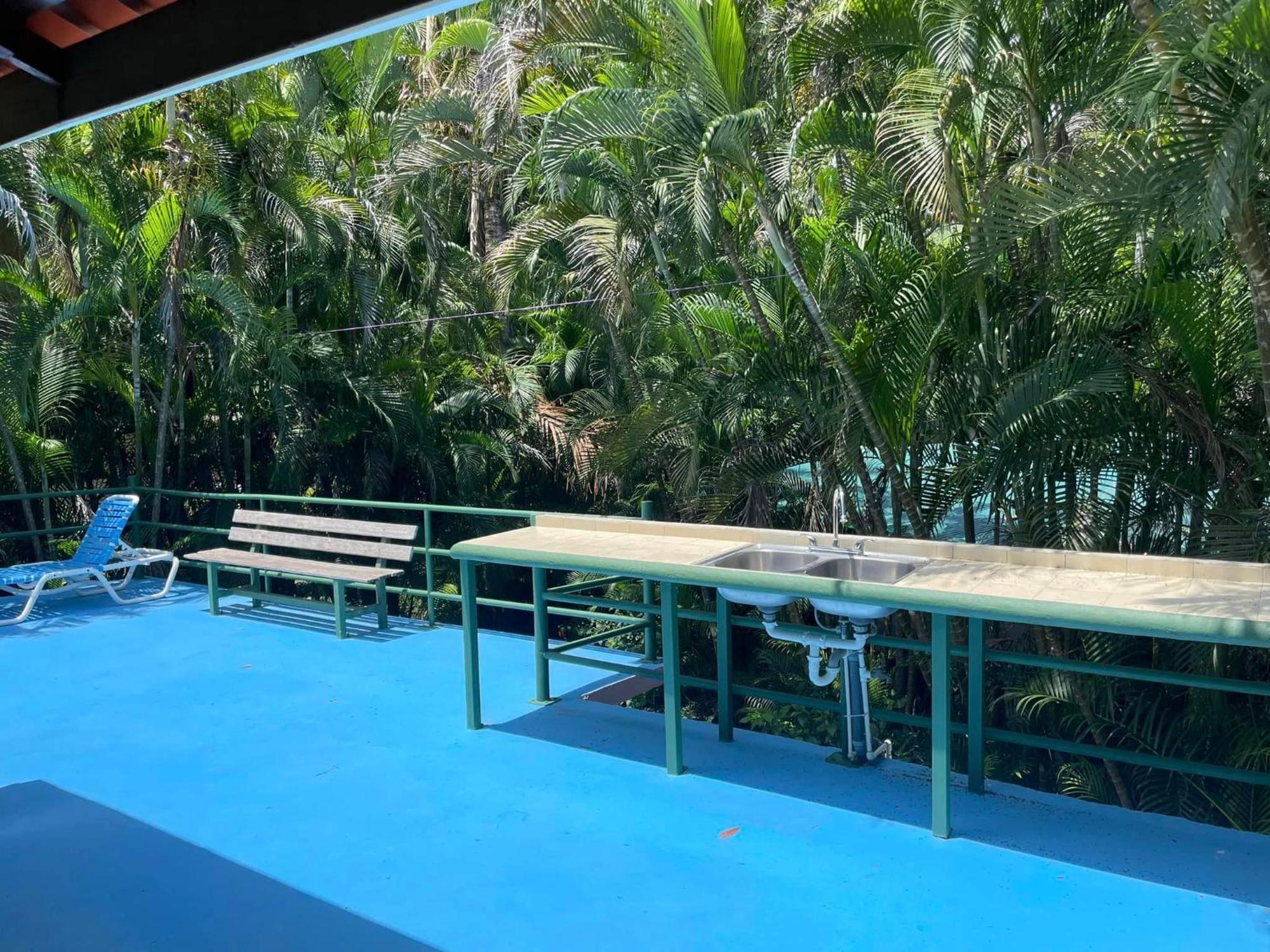 فندق Mal Pais Surf Camp Playa Santa Teresa  الغرفة الصورة