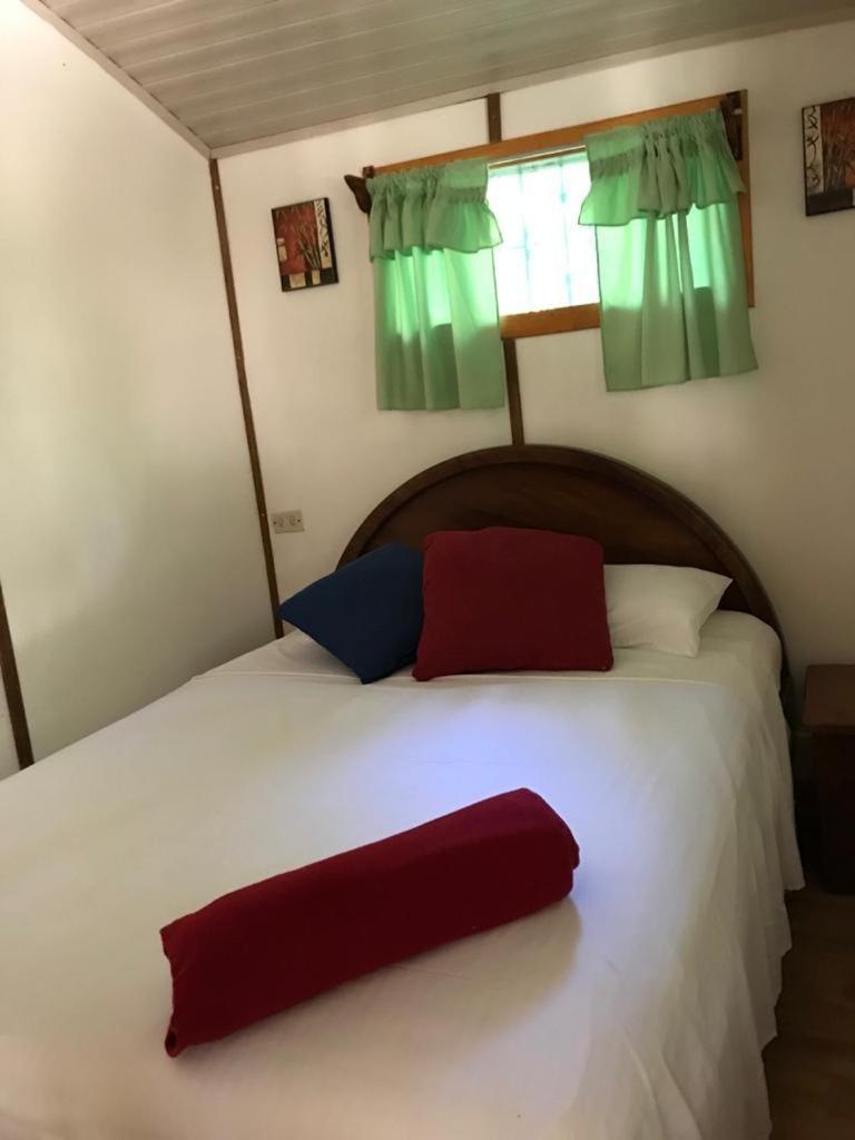 فندق Mal Pais Surf Camp Playa Santa Teresa  المظهر الخارجي الصورة
