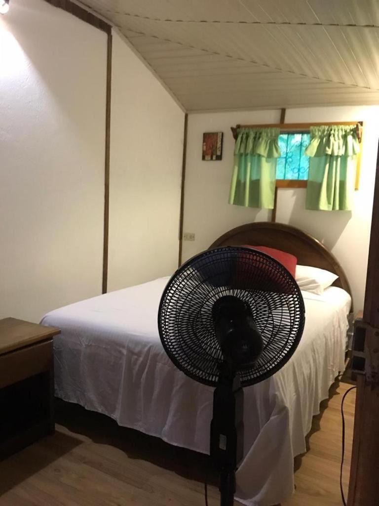 فندق Mal Pais Surf Camp Playa Santa Teresa  المظهر الخارجي الصورة