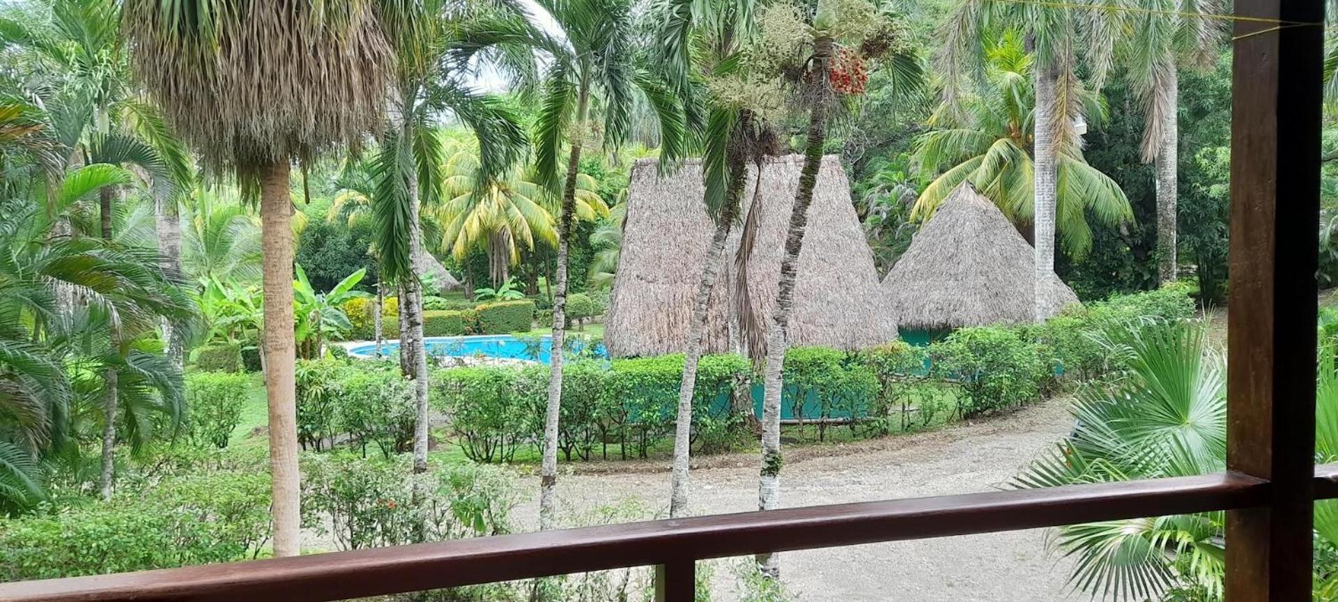 فندق Mal Pais Surf Camp Playa Santa Teresa  المظهر الخارجي الصورة