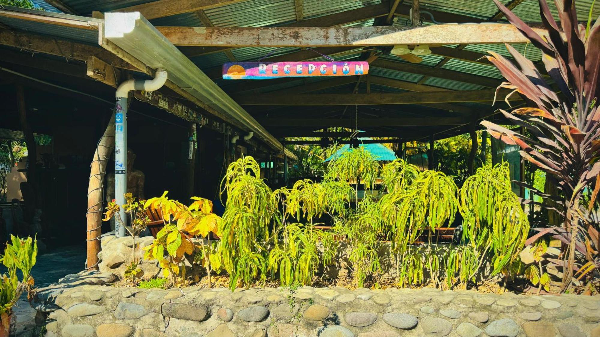 فندق Mal Pais Surf Camp Playa Santa Teresa  المظهر الخارجي الصورة