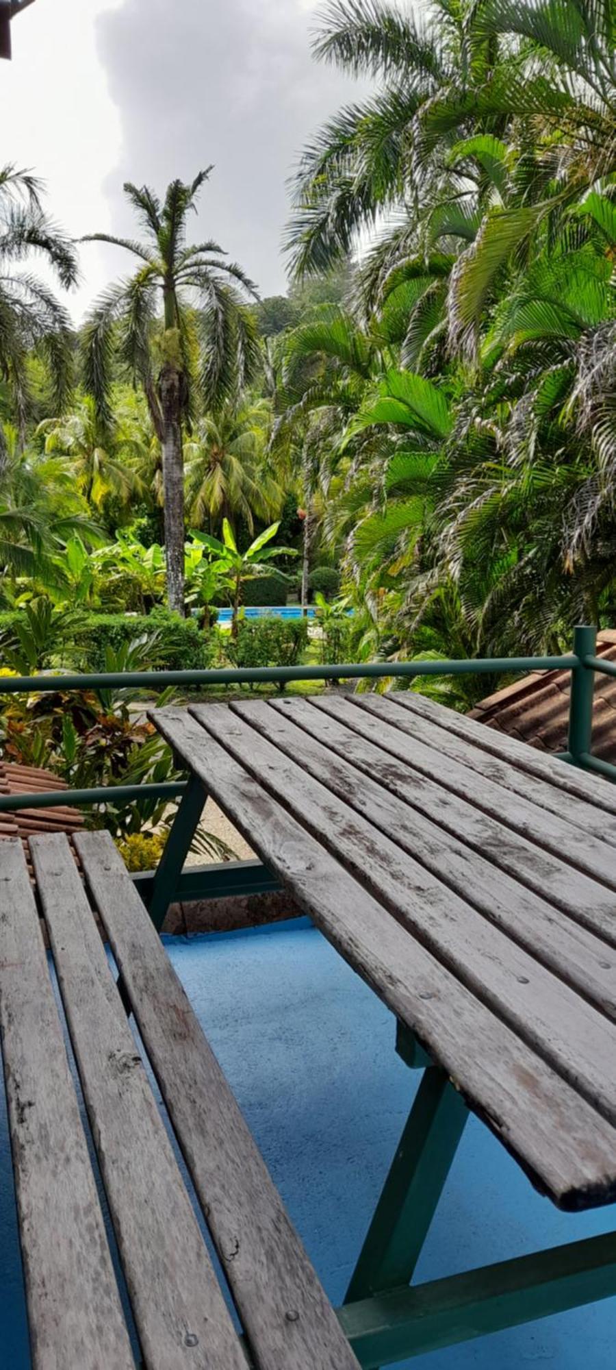 فندق Mal Pais Surf Camp Playa Santa Teresa  المظهر الخارجي الصورة