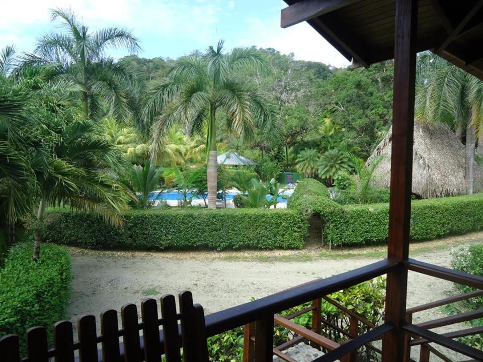 فندق Mal Pais Surf Camp Playa Santa Teresa  المظهر الخارجي الصورة