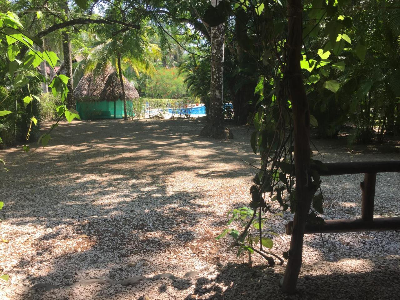 فندق Mal Pais Surf Camp Playa Santa Teresa  المظهر الخارجي الصورة
