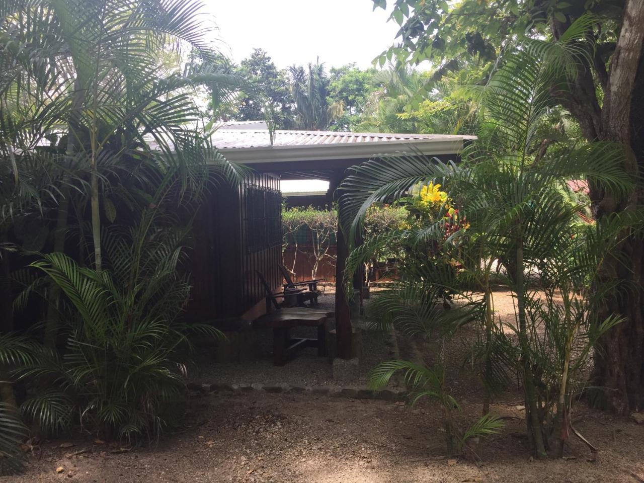 فندق Mal Pais Surf Camp Playa Santa Teresa  المظهر الخارجي الصورة